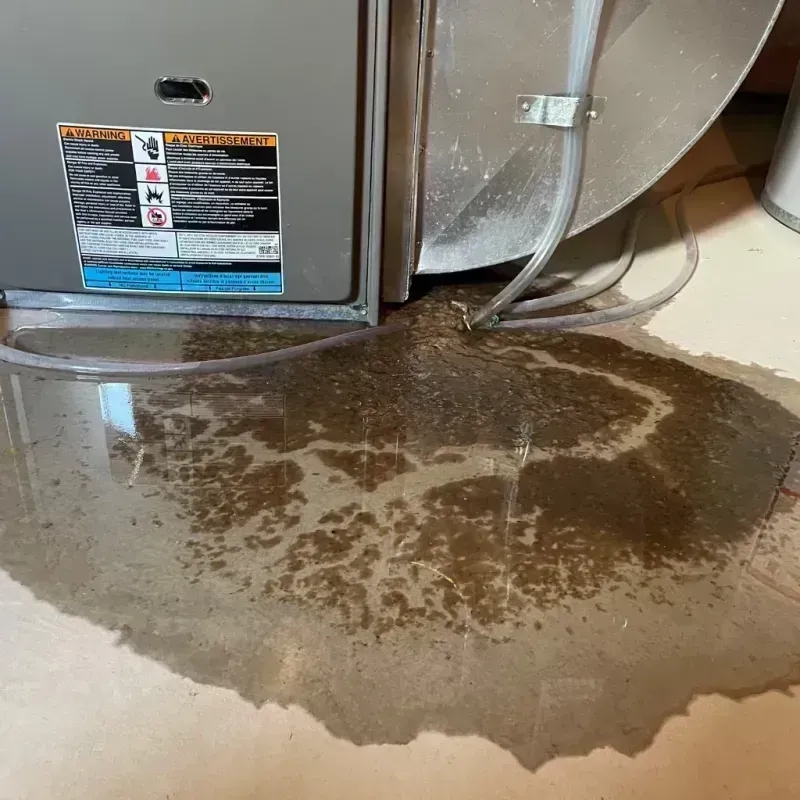 Appliance Leak Cleanup in Williamson County, IL